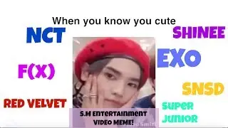 S.M. Entertainment Video Memes (EXO, NCT, f(x), Red Velvet, SNSD, SHINee, Super Junior)