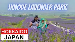 HINODE LAVENDER PARK | KAMIFURANO, HOKKAIDO, JAPAN | JAPAN TRAVEL VLOG | MAMUN CHOWDHURY
