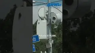 Покажите Новому Орлеану деньги 💰