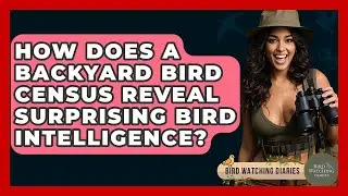 How Does A Backyard Bird Census Reveal Surprising Bird Intelligence? - Bird Watching Diaries