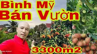 🛑Nhà vườn củ chi 3300m2 xã bình mỹ giá rẻ bất ngờ giáp sông sài gòn gần tp bình dương |#nhadepsg