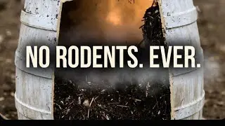 Barrel Composting - The Rodent Proof System No One Talks About