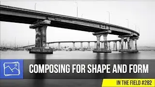 In The Field: Composing For Shape And Form #282