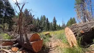 Roanhide trail dirtbike fun