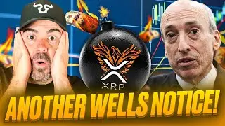 Ripple XRP RLUSD Expert Reveals Shocking Truth, SEC SEND'S WELLS NOTICE | TRUMP MEETS WITH CRO CEO!