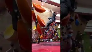 🧗&zwj;♂️🪨💪 No Texture Hold: el desaf&iacute;o extremo en la escalada moderna #viral #curiosidades