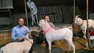 3999/- Onwards🔥 Sabse Sasta Dhamaka Offer🤯Saturday Looto Aur Shouk Karo || Amir Bhai Kurla Mumbai ||