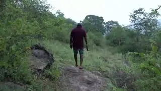 Pambar Log House | Chinnar Wildlife | In the land of Elephants
