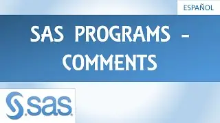 SAS Programaci&oacute;n - SAS Programs - Comments