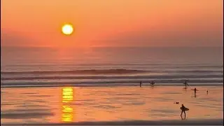 Weather Events 2019 - Hottest February day record (UK) - ITV News - 26th February 2019