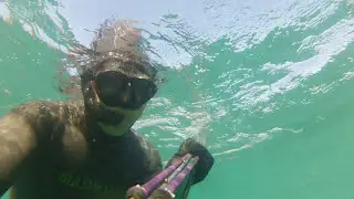 Pesca in apnea a Sassoscritto e corvine in vista!