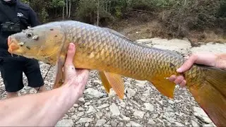 Carp Fishing In Drained Canal!