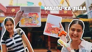 MAJNU KA TILLA | Delhi Vlog