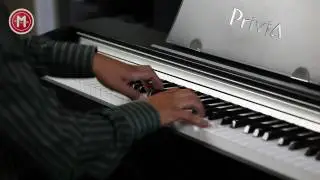 Videopr&auml;sentation: Das Casio PX-730 gespielt von Andrei Quint
