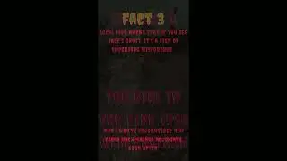 Top 3 ghost pictures