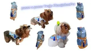 Traje ChangshanPet