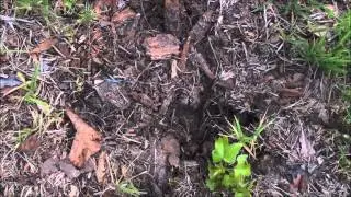 Turtle Hole Update