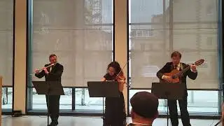 Doina #nataschaakinschin #trioclassicdeluxe #violinistin #classicpop #violine #Klezmer #Doina #solo 