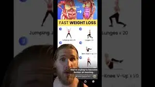 Fat Loss Dog