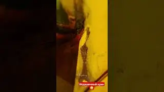 игрушечный кран, как настоящий 🤣🤣🤣 #container #crane #port #job