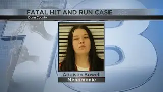 Teenager charged after fatal Dunn County hit-and-run pleads guilty to 3 of 4 charges