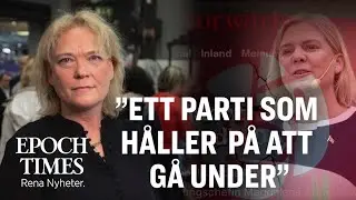 Lotta Gröning: Jag ser ett socialdemokratiskt parti som håller på att gå under