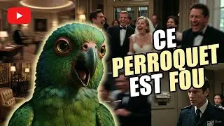 Ce perroquet clash sans pitié 😂😂🦜🦜