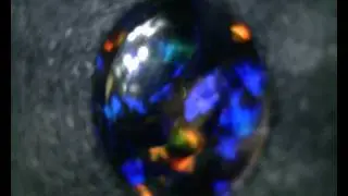 0004   20090606 222732