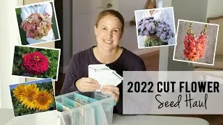 2022 Cut Flower Seed Haul - Sunshine and Flora, Zone 5A Flower Farm