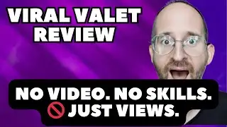 Viral Valet review