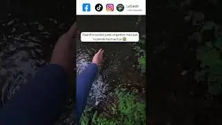 Apr&egrave;s la tanche de 40cm, la br&ecirc;me, alors que je voulais juste un gardon 😂
