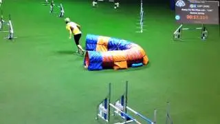 AWC 2015 - Jenny damm jumping individual