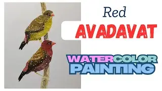 Ultimate Guide How to make a RED AVADAVAT - Painting Art - #art #birds #artist