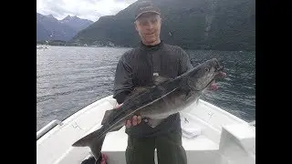 Romsdalsfjord speedjigging sej