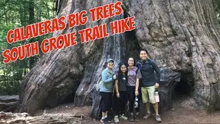 Calaveras Big Trees, South Grove Trail hike