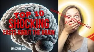 The Magic Of The Brain|10 Amazing Facts About The Brain| Its The Most Outstanding Organ #facts #fyp