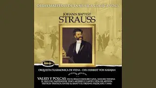 Cuentos de los Bosques de Viena in C Major, Op. 325: I. -