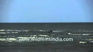 Indian Fishermen catch fish in Bay of Bengal