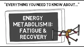 Energy Metabolism II Fatigue & Recovery | Sport Science Hub: Physiology Fundamentals | Music Version