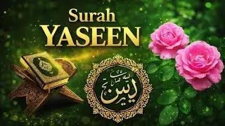 Surah Yaseen (سورة يس) | Soothing & Beautiful Quran Recitation for Inner Peace | By Alaa Aqeel