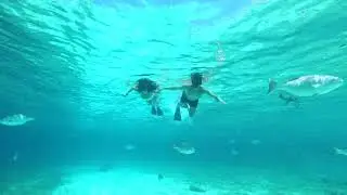 The Westin Cozumel
