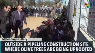 Italian Police and Protesters Clash over Pipeline