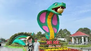 Festival hoa Sa Đéc 2025 + Tham quan vườn quýt hồng Năm Tiệm - Mắm Chuppy Family