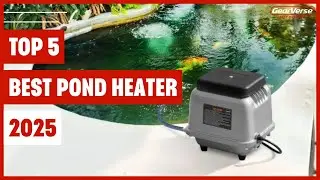 Best Pond Heater 2025 | Top 5 Picks for Clear & Healthy Water!