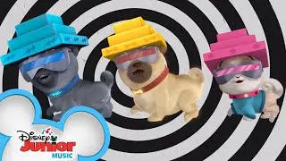 A.R.F.'s New Voice Box 🐶 | Music Video | Puppy Dog Pals | Disney Junior