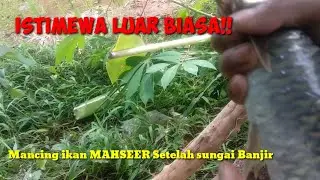 ISTIMEWA LUAR BIASA!!! // Mancing Ikan Dewa setelah Sungai Banjir