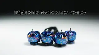iFlight XING NANO X1105 6000KV 2-4S