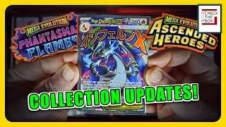 Binder Updates! | Phantasmal Flames and Ascended Heroes (plus pickups and fixes)