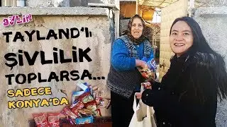 ŞİVLİLİK NEDİR BİLİR MİSİN? I Acayip Keyifli Bir Video Oldu I DK 1.17 Dikkat !