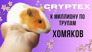 CRYPTEX (cryptex.to) - к миллиону по трупам хомяков! 